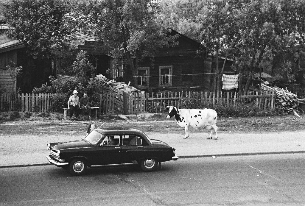 ретро фотографии фото