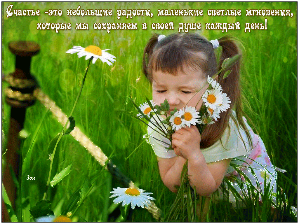 ���� ������, �������� ���������� ���������