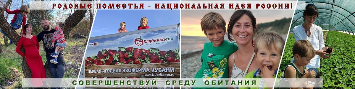 клубничный фермер фото