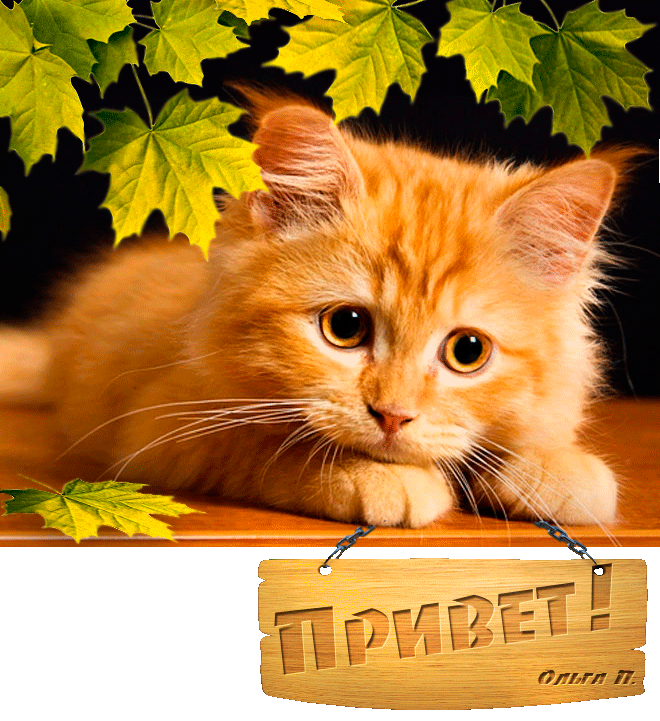 ����������� �������� ��������, ������ ������ ����