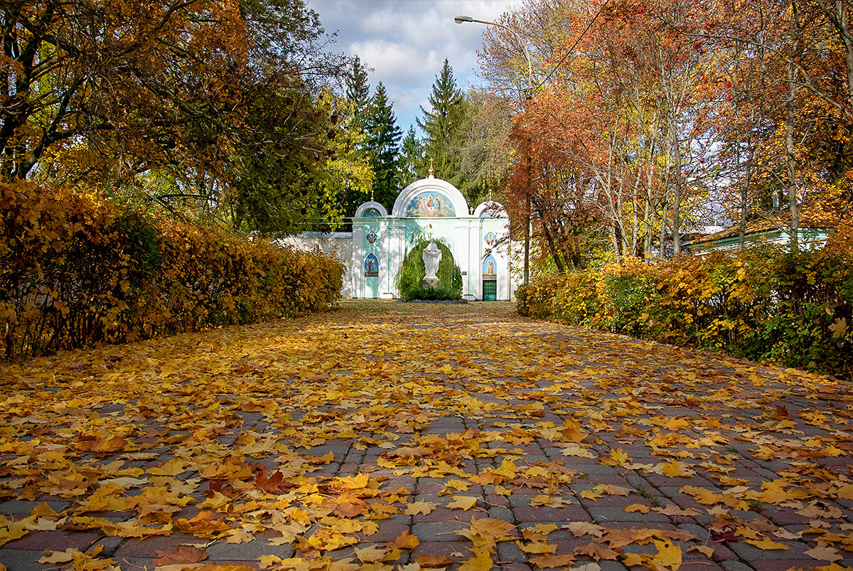 кусково осенью фото