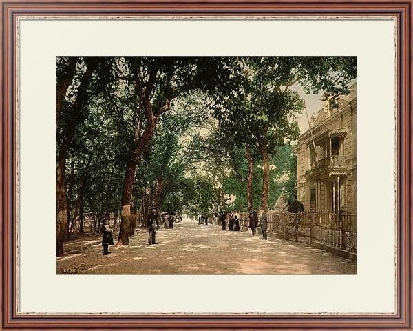 1890 голландия фото
