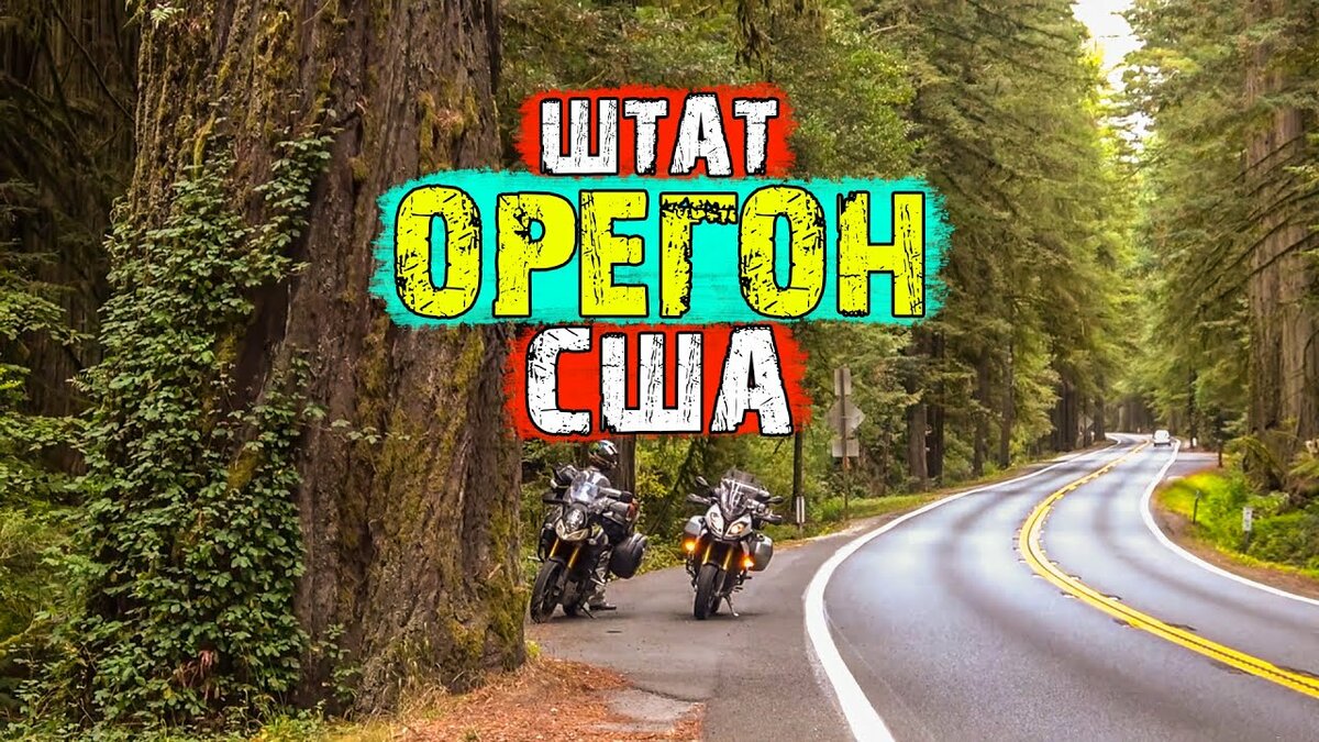 дорога фото