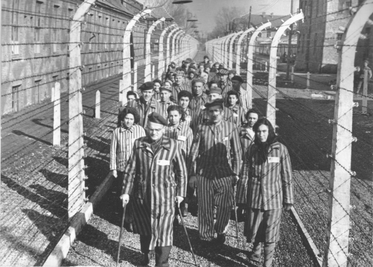 жертв холокост лагерь аушвиц фото