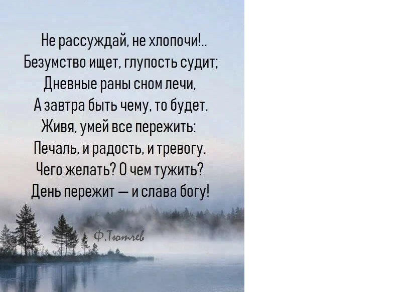 не рассуждай не хлопочи безумство фото