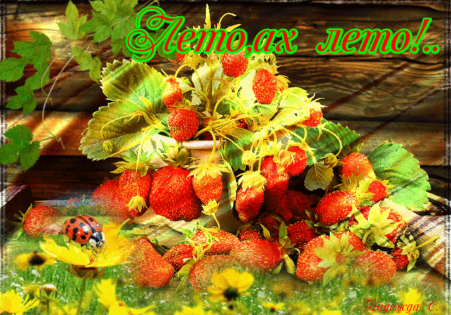 Лето, ах лето !