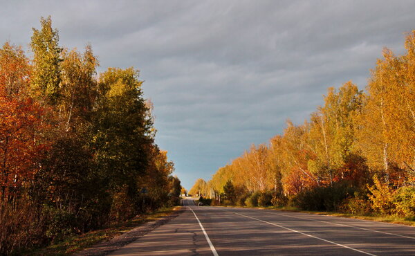 Рыжая осень попутчица.