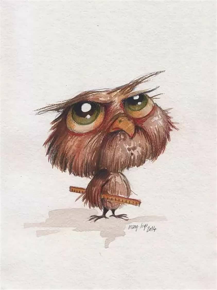 Взъерошенная сова с бешеными глазами картинки