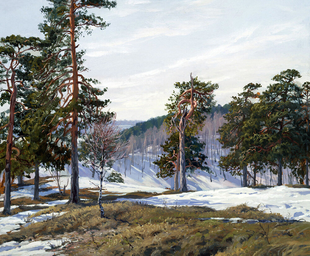 художник андрей герасимов фото