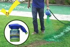 гидропосев газона hydro mousse фото