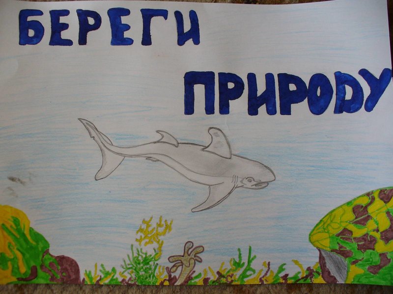 Как Нарисовать Плакат Берегите Растения