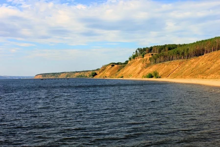 Майский цветок может дорого обойтись 