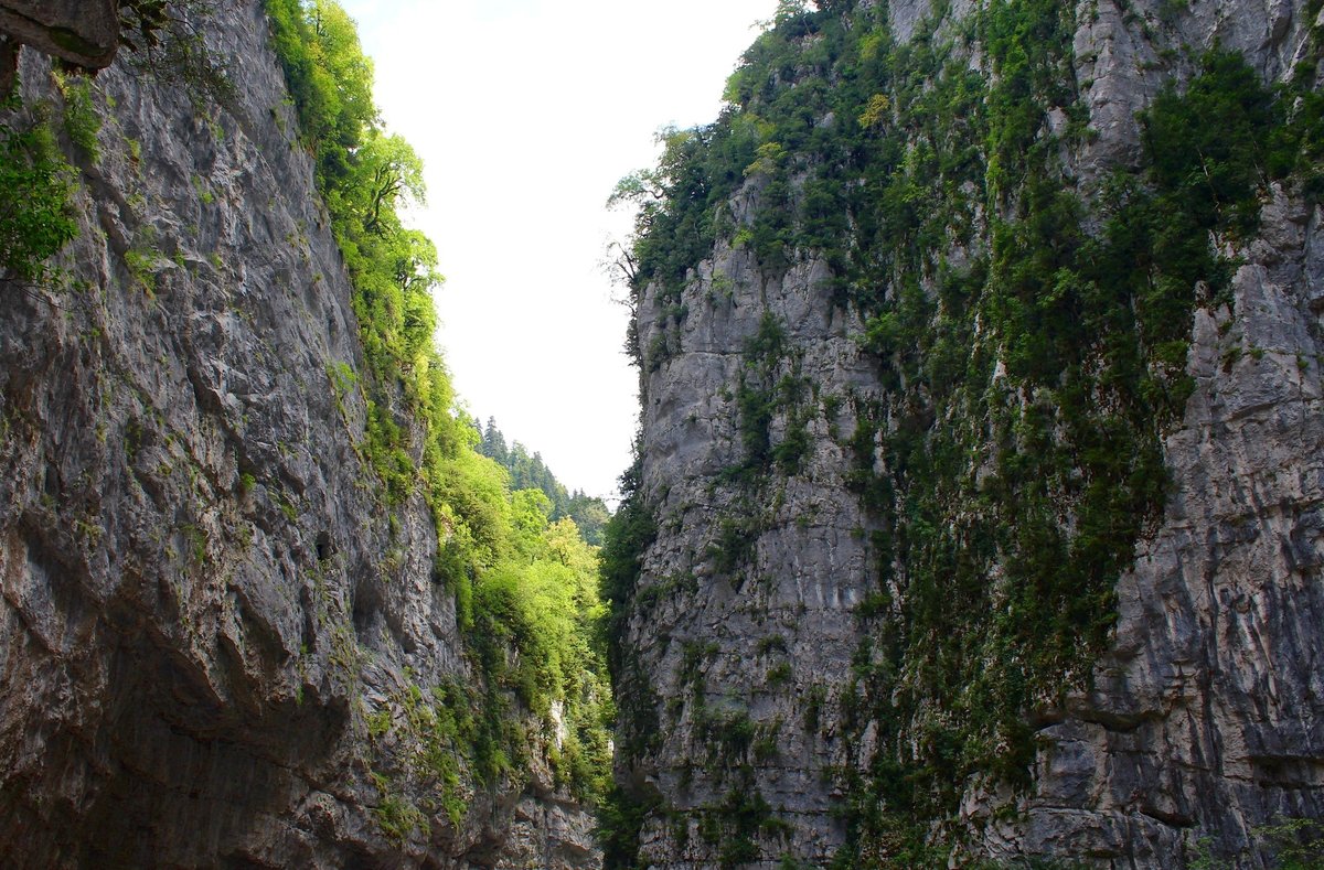 юпшарский каньон каменный мешок в абхазии фото