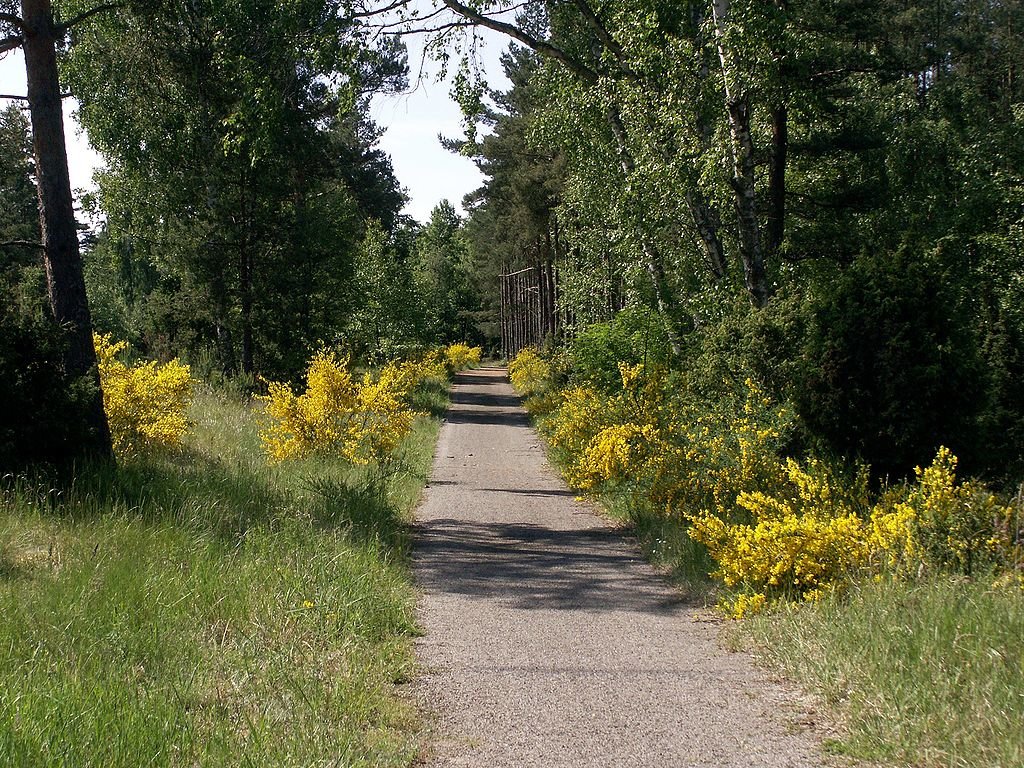 ботанический сад бишкек фото