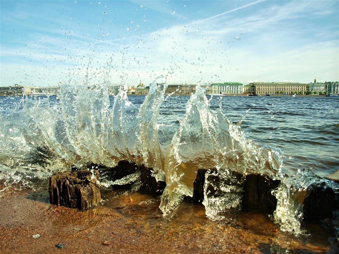нева вода фото
