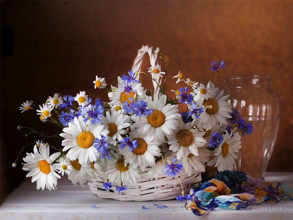 �����, �������� � ���������� � ��������� � ���� ��������