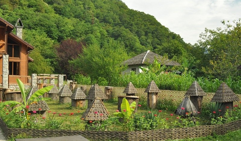 медовый двор абхазия фото