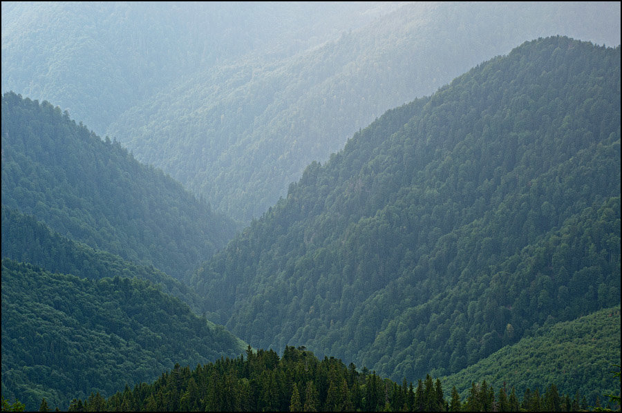 сочинский национальный парк, сочи фото
