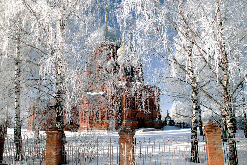 летний сад зимой фурманов фото