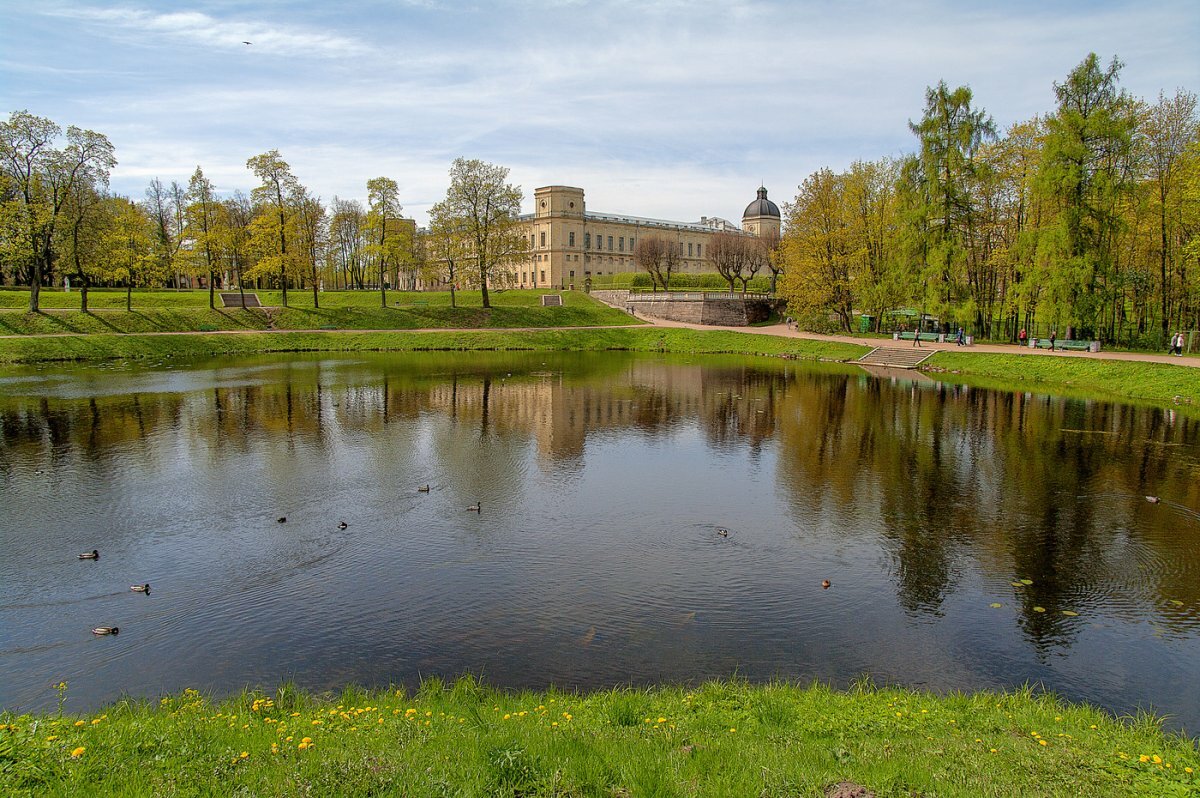 гатчина павловский дворец и парк фото