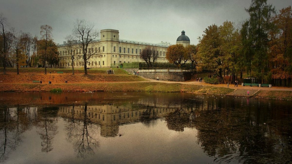 гатчинский дворец карпин пруд фото