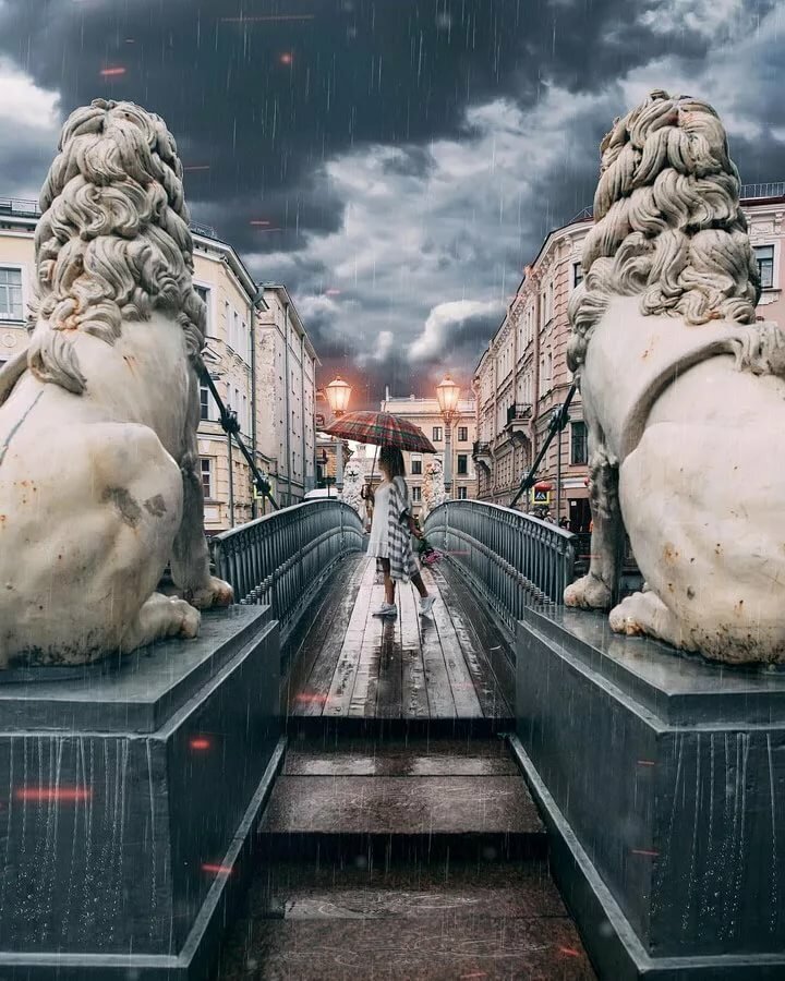 львиный мост санкт петербург фото
