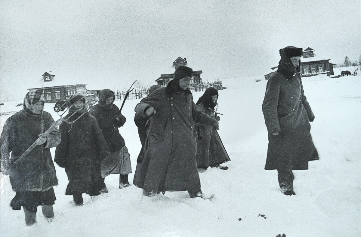 пленные немцы, битва под Москвой