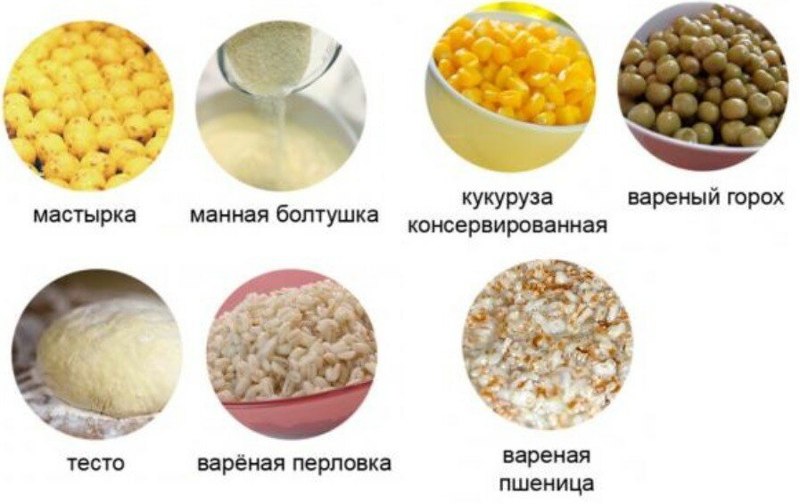 наживка для карася своими руками рецепты фото