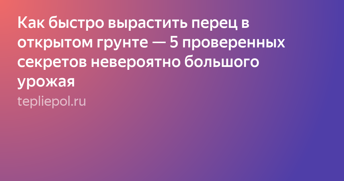 растение фото