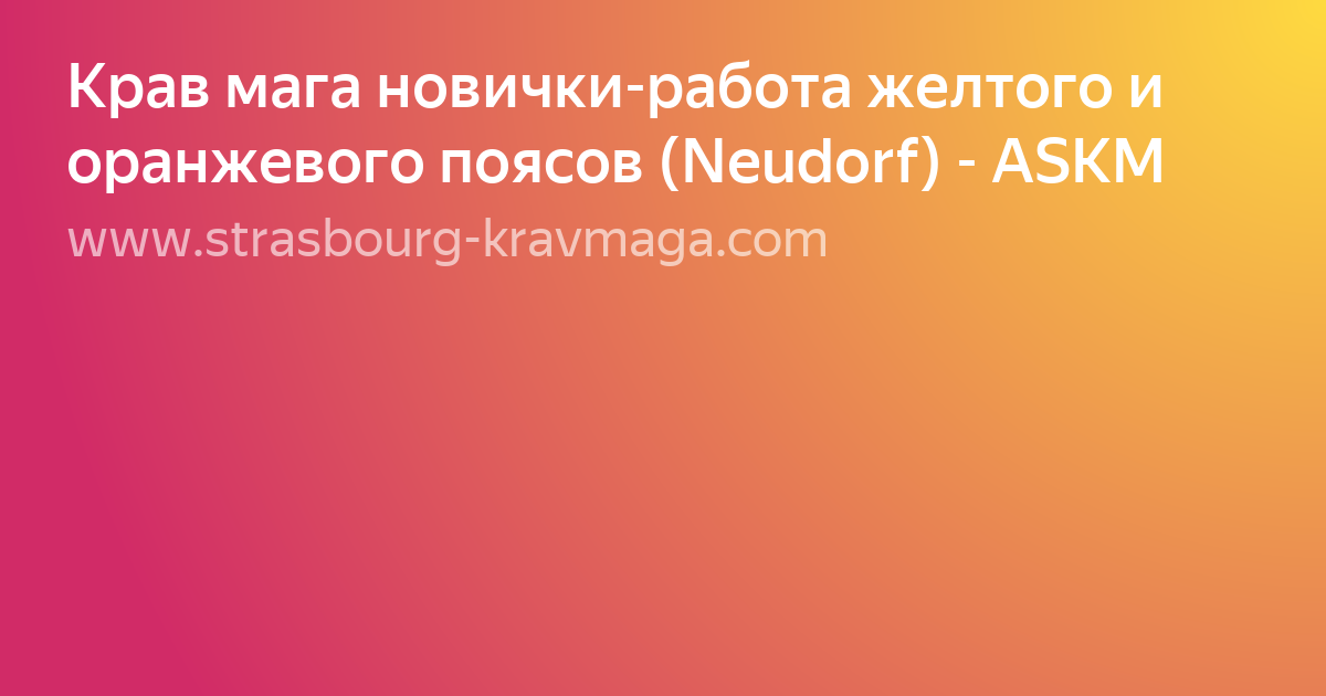 яндекс избранное коллекция моя фото