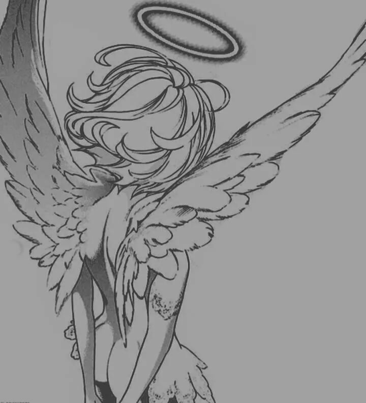 Крылья ангела картинки карандашом аниме