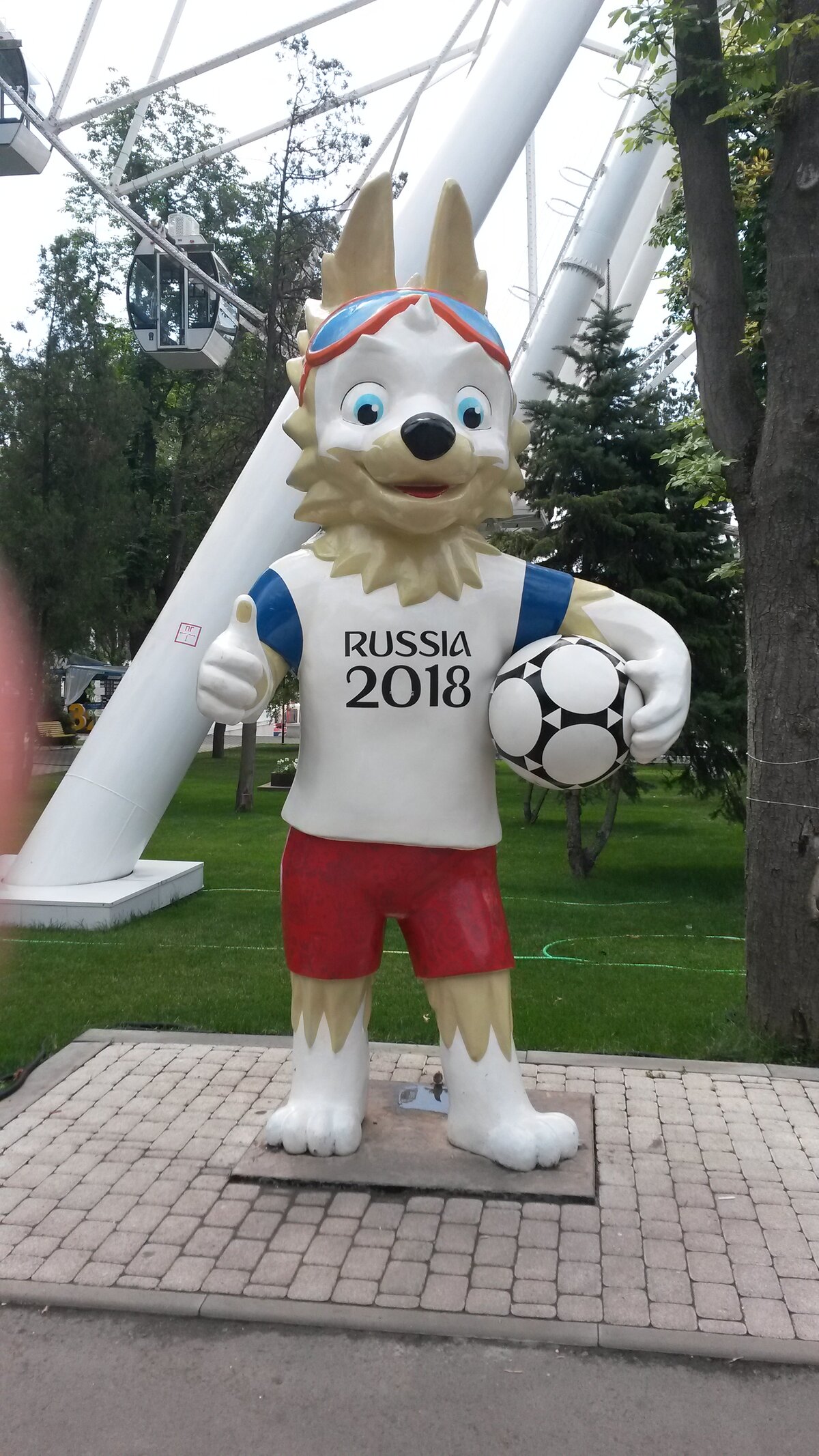 забивака 2018 фото