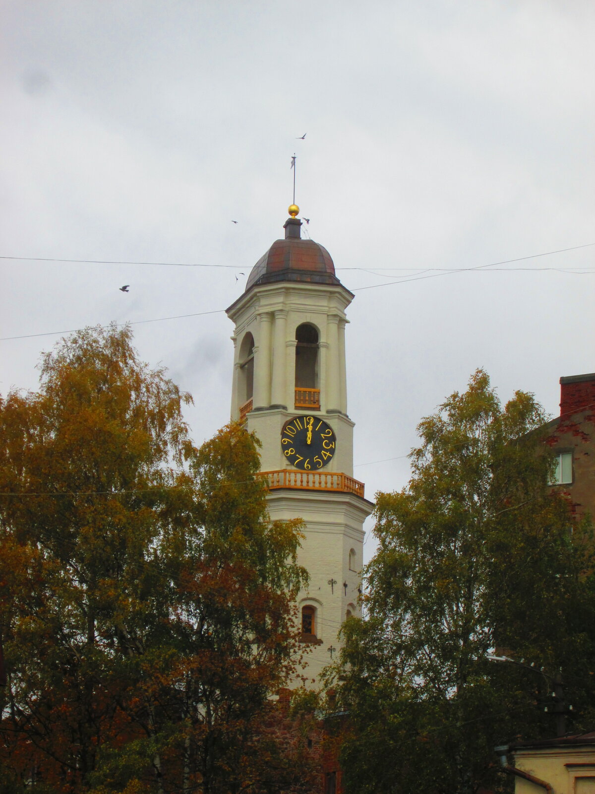 колокольня ново-голутвиного монастыря фото