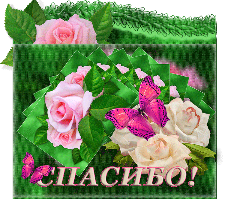 Tapтaлeтки & Ко