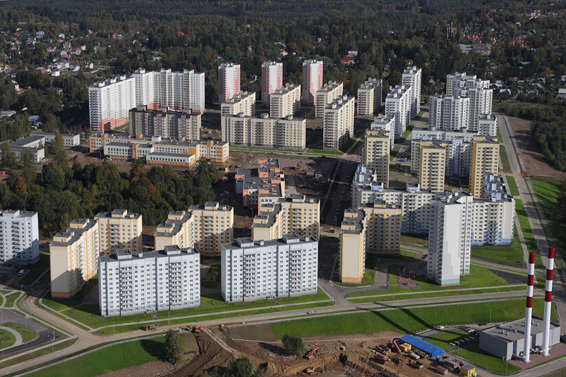 осиновая роща санкт петербург фото