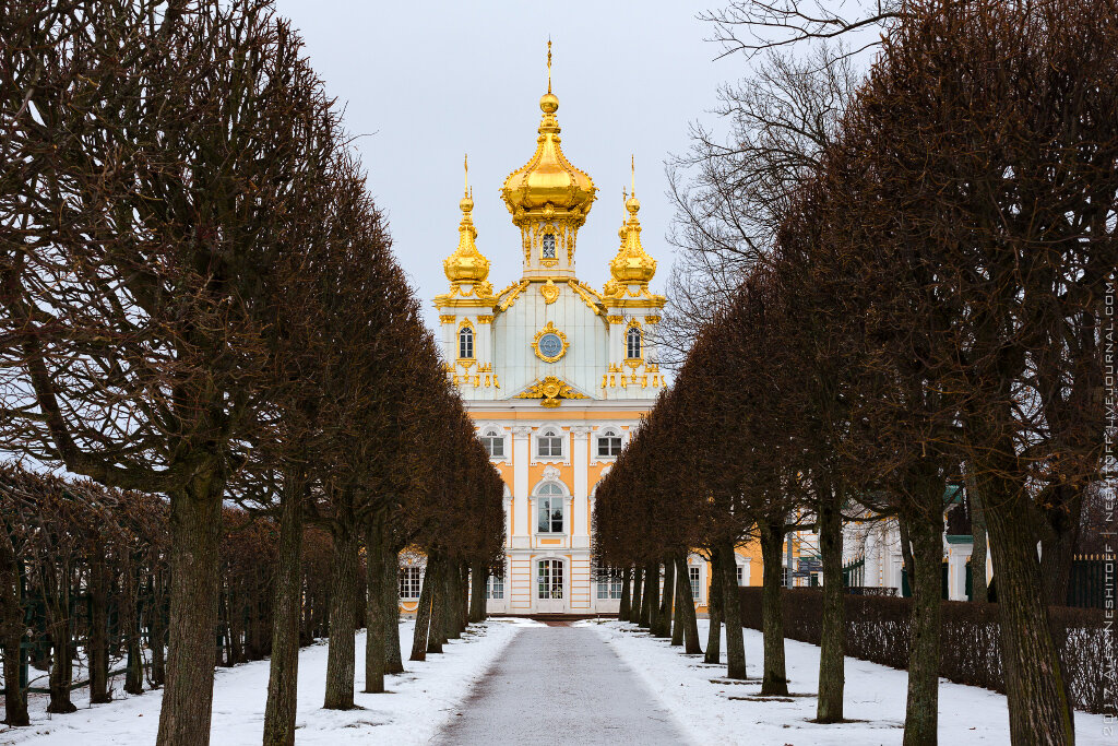 петергоф фото