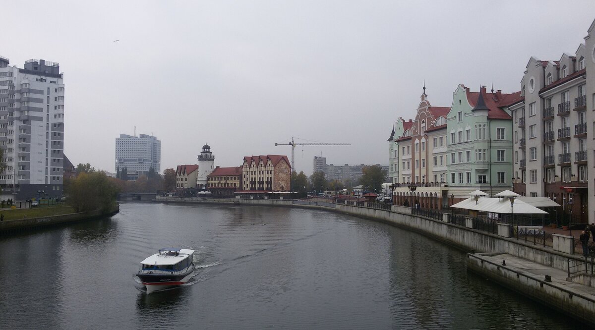калининград река фото