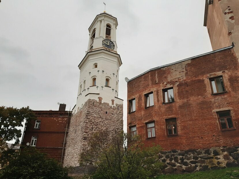 часовая башня выборг фото