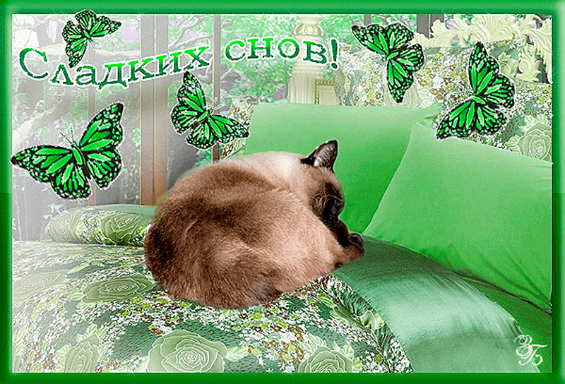 �������� �����, ��� �������� �������� ����