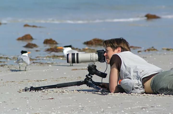 ������ �� ������ ��������� ��������� ����� ����