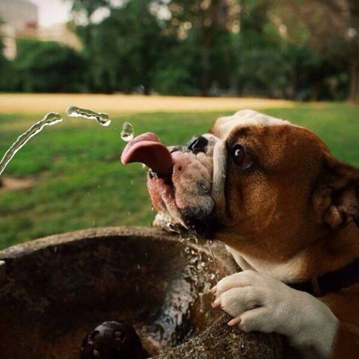 ���������� ����� ������� �������� �� ����, ������