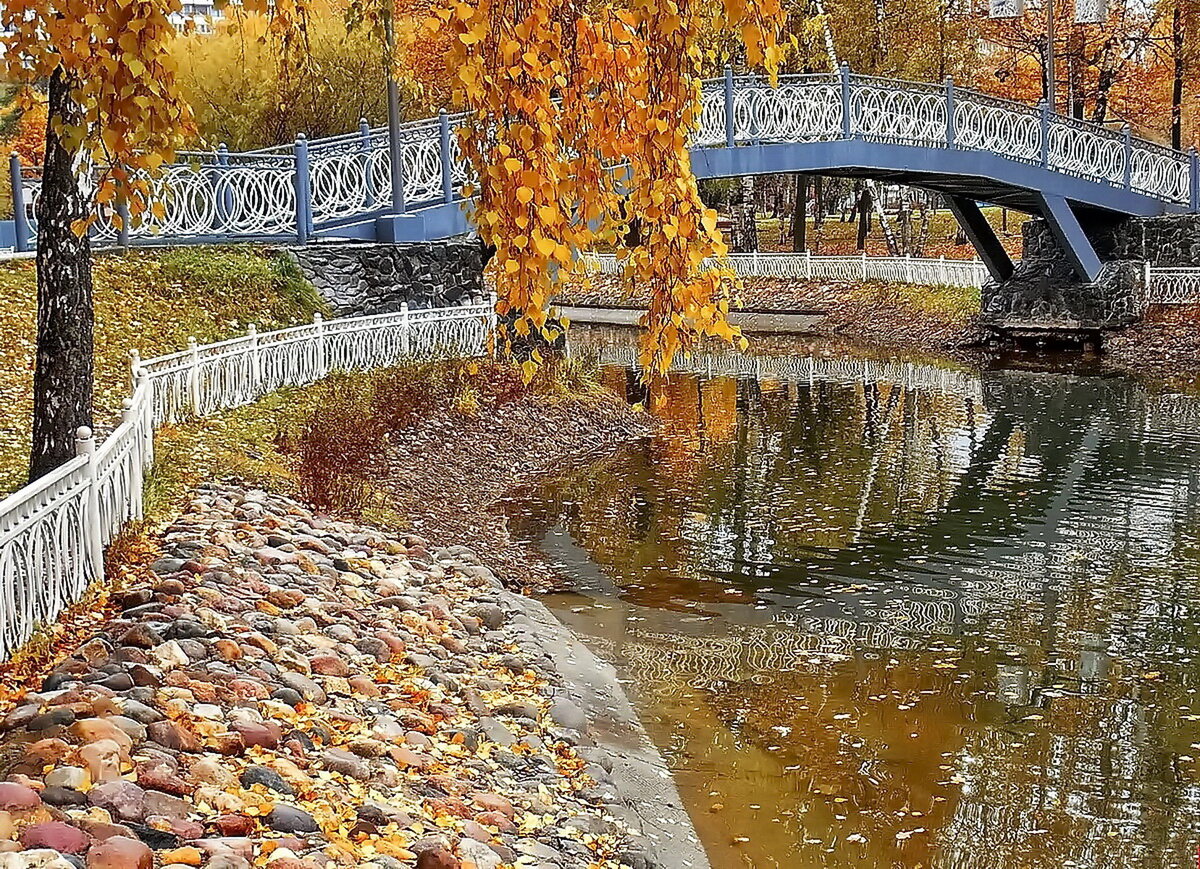 лианозовский парк москва фото