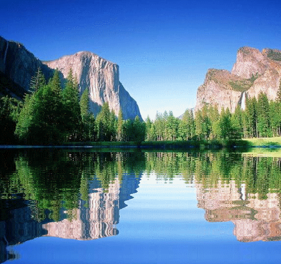 Природа мира картинки анимация