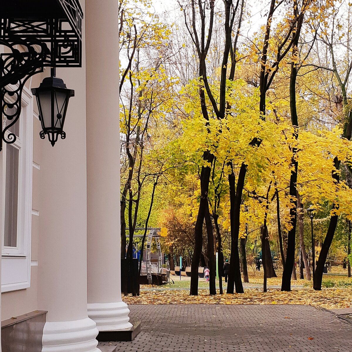 парк царицыно осень фото