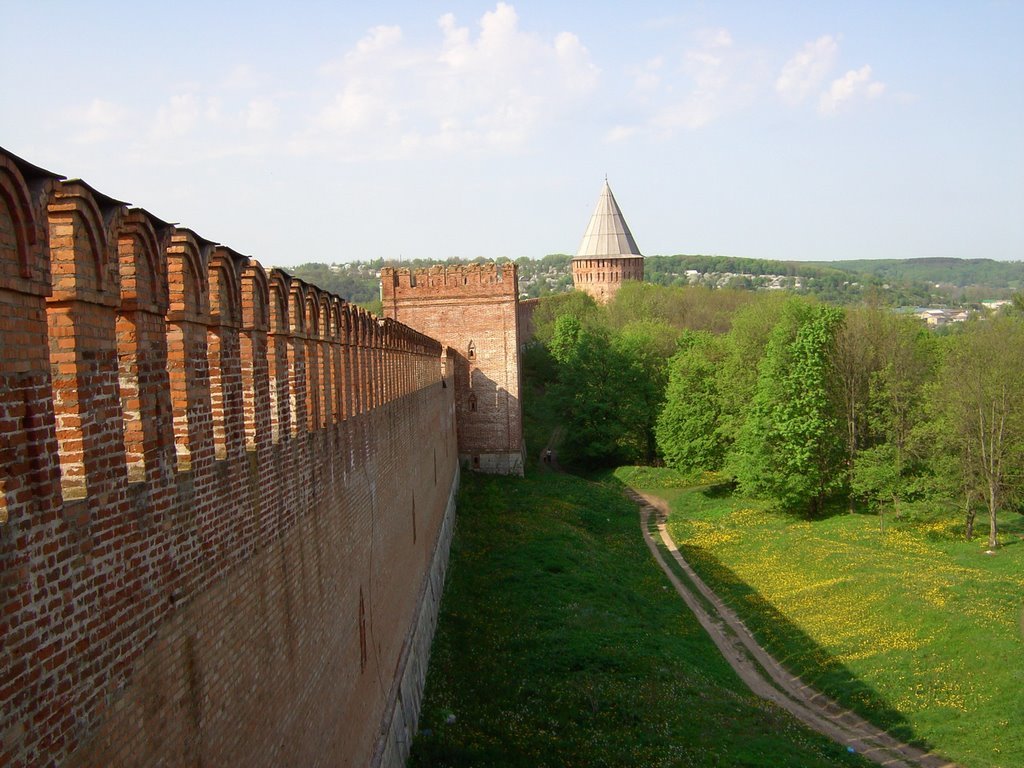 смоленская крепость смоленск фото