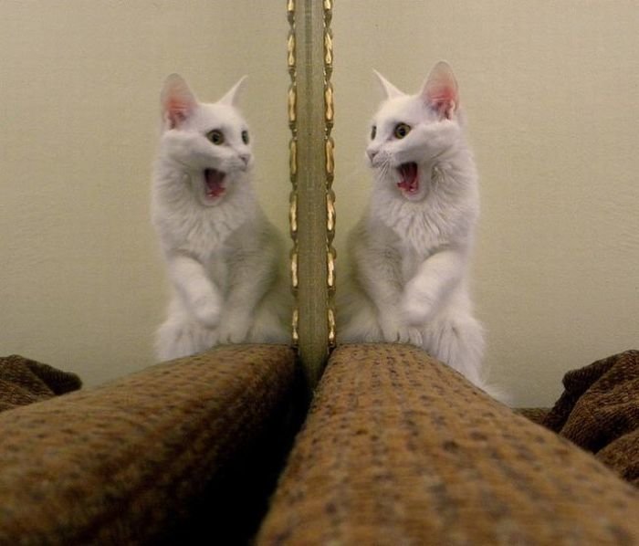 ���� ����� ����� - 6