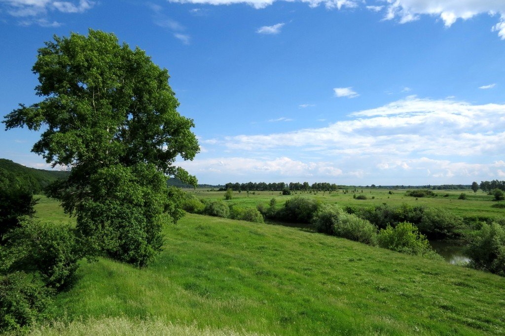 природа село гагино нижегородской области фото