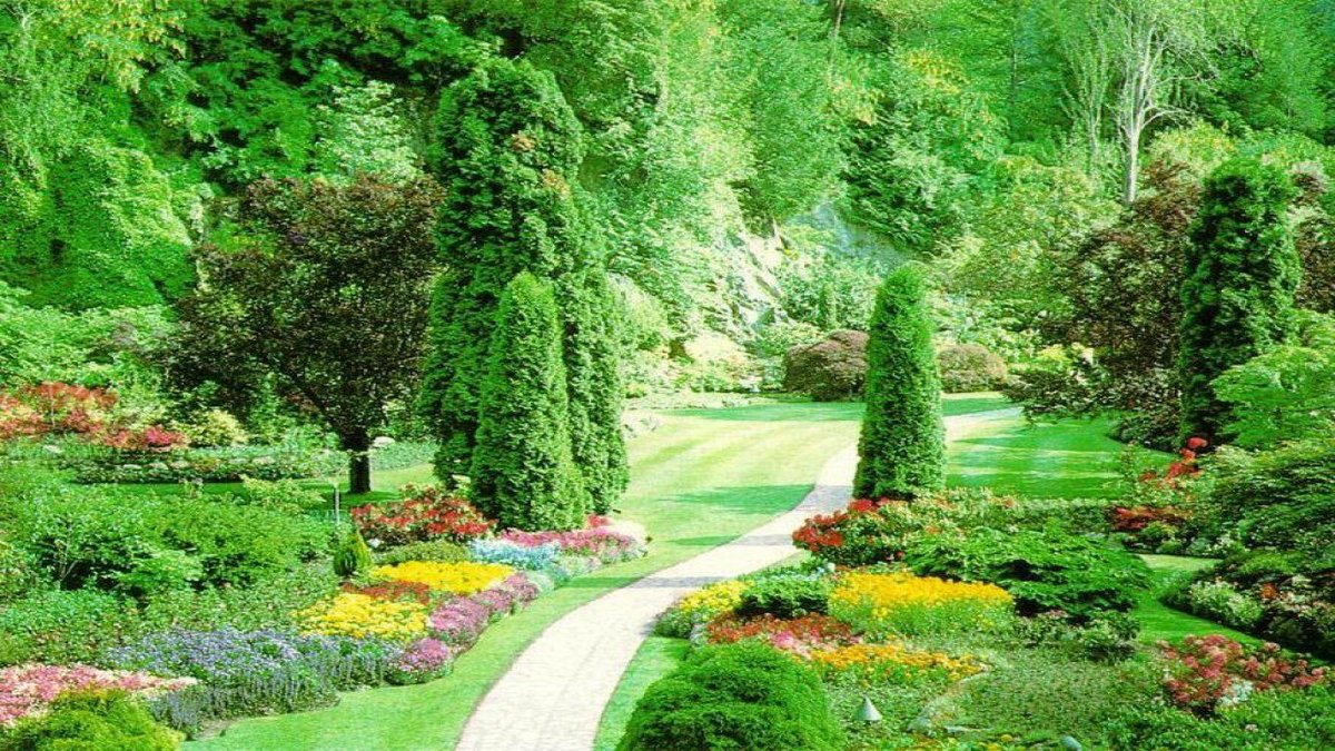 красивый сад фото