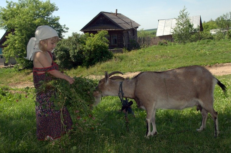 лето в деревне фото