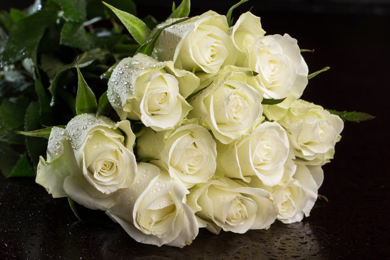 Белая роза характер человека цветы с сюрпризом москва